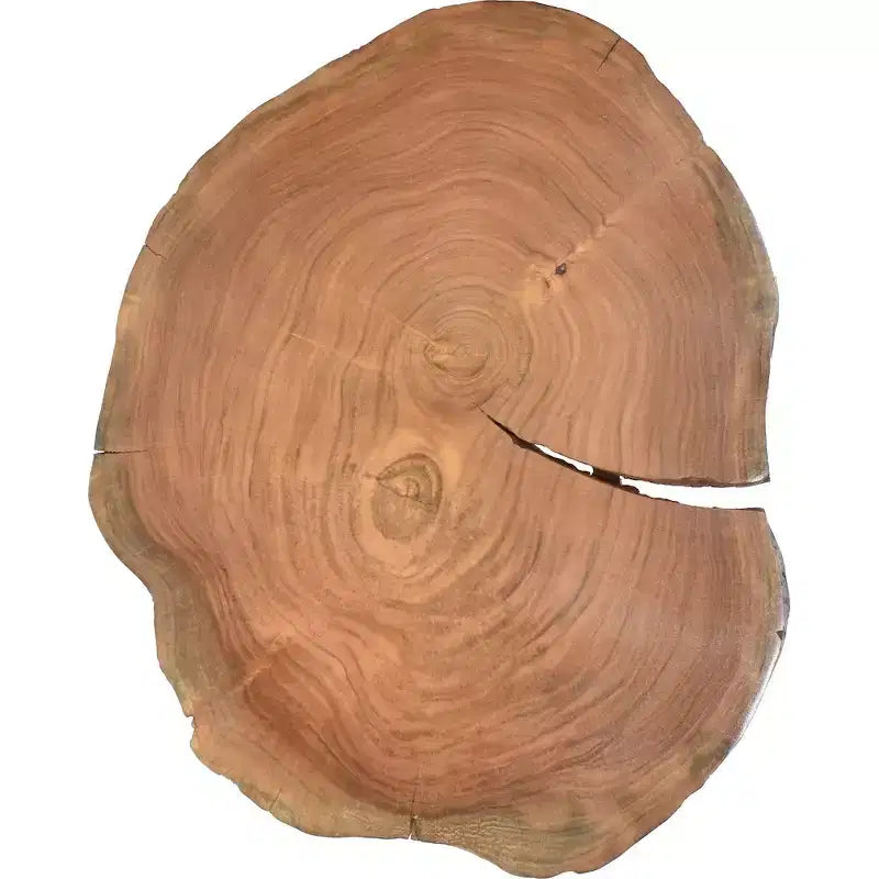 Tavolino laterale in acacia marrone con bordo naturale e gambe in acrilico trasparente - Pezzo unico